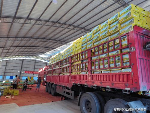 愛心助農,勐臘電商在行動